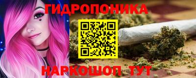 дживик Новозыбков