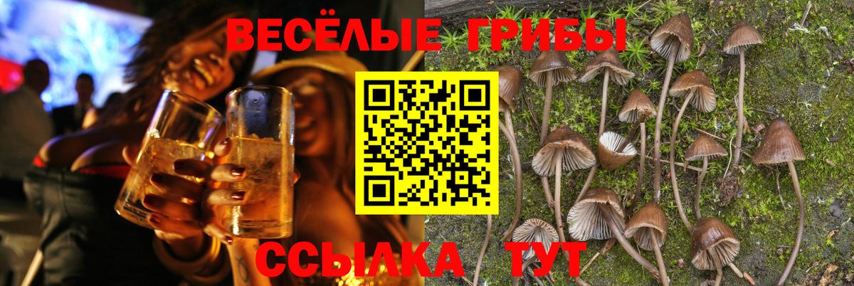 Галлюциногенные грибы мицелий  Хабаровск 